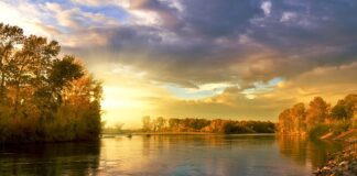 Co oznaczają kolory opasek w hotelach all inclusive?