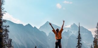 Jaki darmowy program OBD?