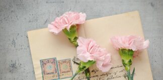 Co oznaczają oznaczenia na oponach?