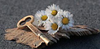 Czy da się otworzyć Trytytka?