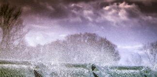 W jakich godzinach nie można pryskać?