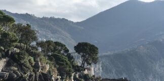 Ile kosztuje 1 Trytytka?