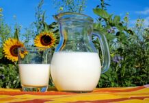 Czym rożni się mleko roślinne od zwykłego?