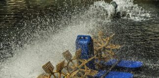 Kiedy stosować aerator?