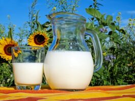 Czy mleko roślinne jest zdrowsze od krowiego?
