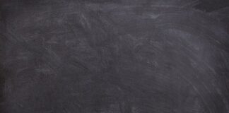 Co to znaczy czarny tulipan?